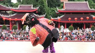 Download lagu Aksi unik Gedawangan Barongsai di Sampokong Semarang mp3 Download lagu Aksi unik Gedawangan Barongsai di Sampokong Semarang mp3