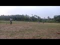 Paddy Field Cricket