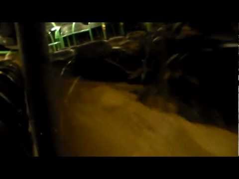 Pussissa Perjantai aamu sella