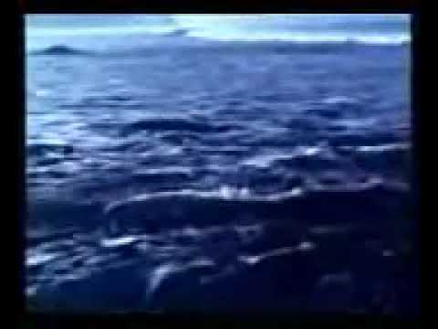 NYI Blorong ( Suzanna)