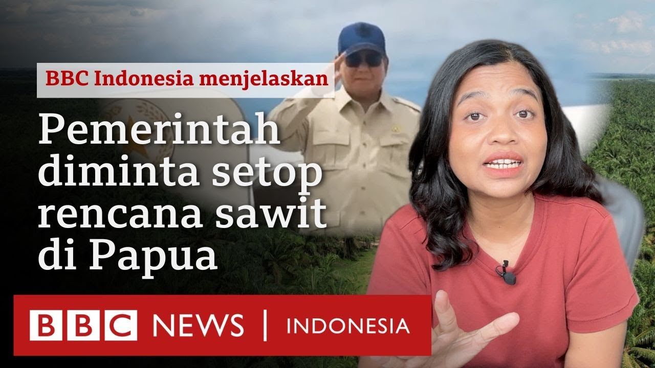 Pegiat lingkungan minta Prabowo menghentikan rencana penambahan lahan sawit di Papua