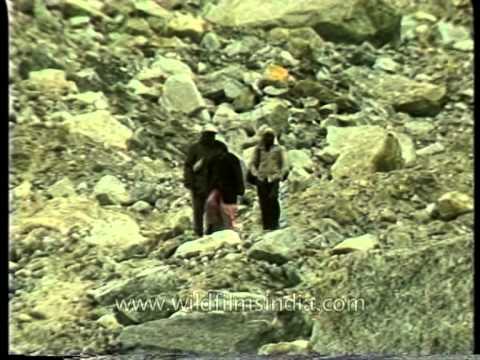 Source of Ganga - Gaumukh glacier