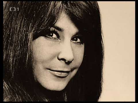 Michal Tučný - Poslední kovboj  [Dokument]  [video]