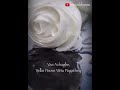Vellai Poove Whatsapp Status