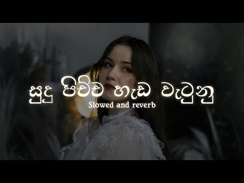 Sudu Pichcha Hada Watunu | සුදු පිච්ච හැඩ වැටුනු | Slowed and Reverb with Lyrics| #DASSAMUSIC