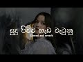 Sudu Pichcha Hada Watunu සුදු පිච්ච හැඩ වැටුනු Slowed And Reverb