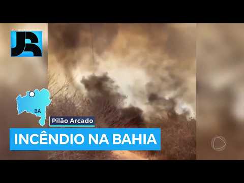 Incêndio de grandes proporções atinge zona rural de Pilão Arcado (BA) há cinco dias