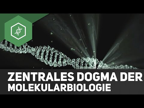 Central dogma of molecular biology