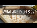 What are IMO-1 and IMO-2? (from Korean Natural Farming) with Matt Powers