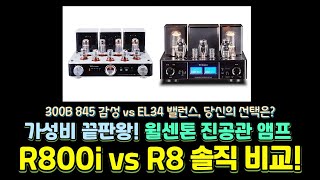 진공관 앰프 끝판왕! 윌센톤 R800i 300B 845 vs R8 EL34 솔직 비교!