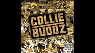 Download lagu Collie Buddz - Blind to You mp3