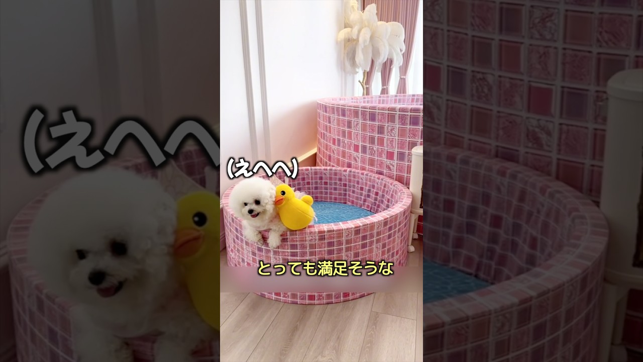 超巨大バスタブベッド！