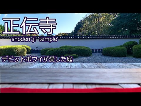 jardin-alpin-idées-plantes-couvre-sol-fleurs