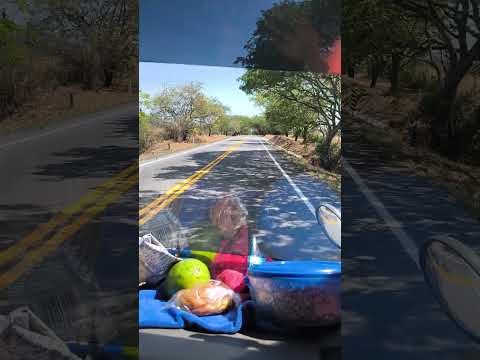 Visitando el café Ninco (Hobo-Huila)