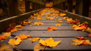 Emotional Horizons ‎– Autumn (Jon O'Bir Remix)