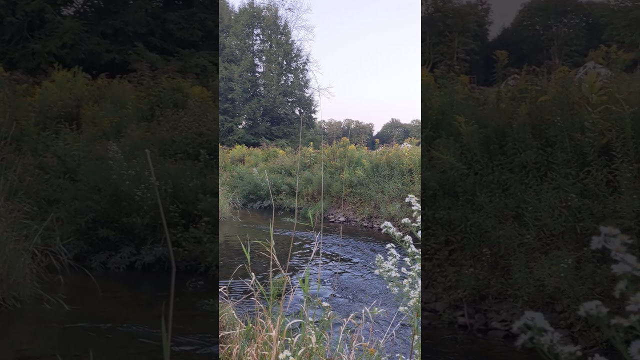 360 degree view from the river