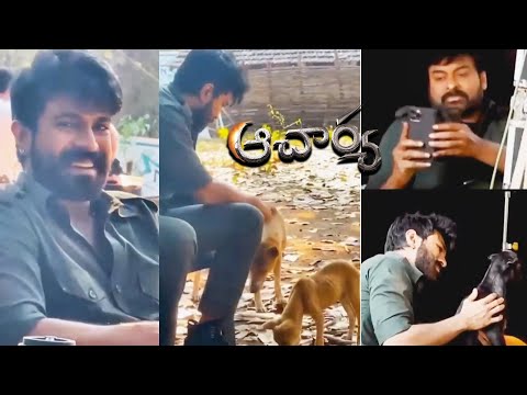 Ram Charan & Chiranjeevi | Acharya | Ram Charan Playing With Dogs | Friday Buzz