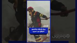 رجال الإطفاء يسارعون الزمن لإخماد الحرائق غرب مدريد thumbnail