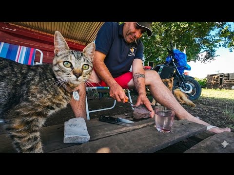 El Arte de lo Simple 😺🫂🌏