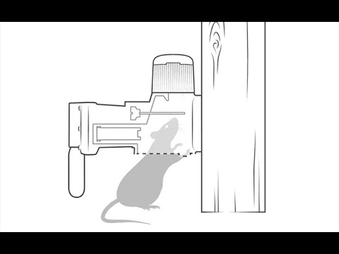 Goodnature A24 rottefælde, smart