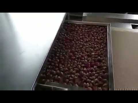 Industrial and Commercial Microwave, Tunnel and Oven