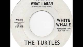 The Turtles - You Know What I Mean