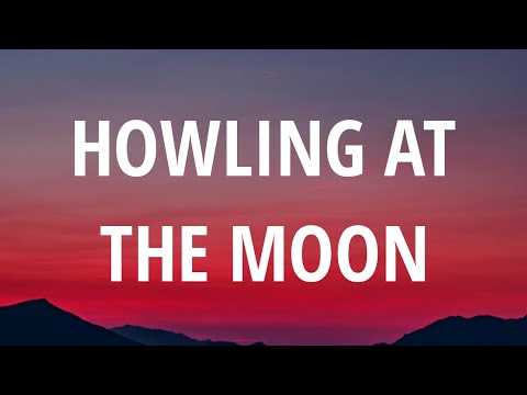 Mike Posner & salem ilese - Howling at the Moon (Lyrics)