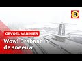 DRONEBEELDEN: Brabant bedekt met SNEEUW | Omroep Brabant