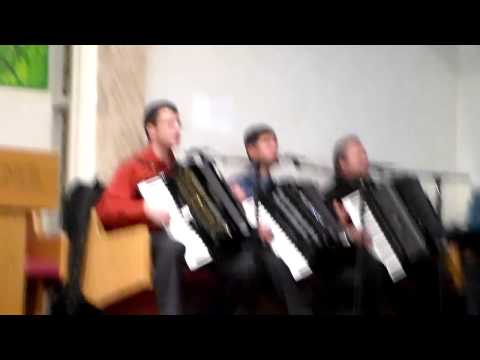 FRATII DIN DETROIT -2014