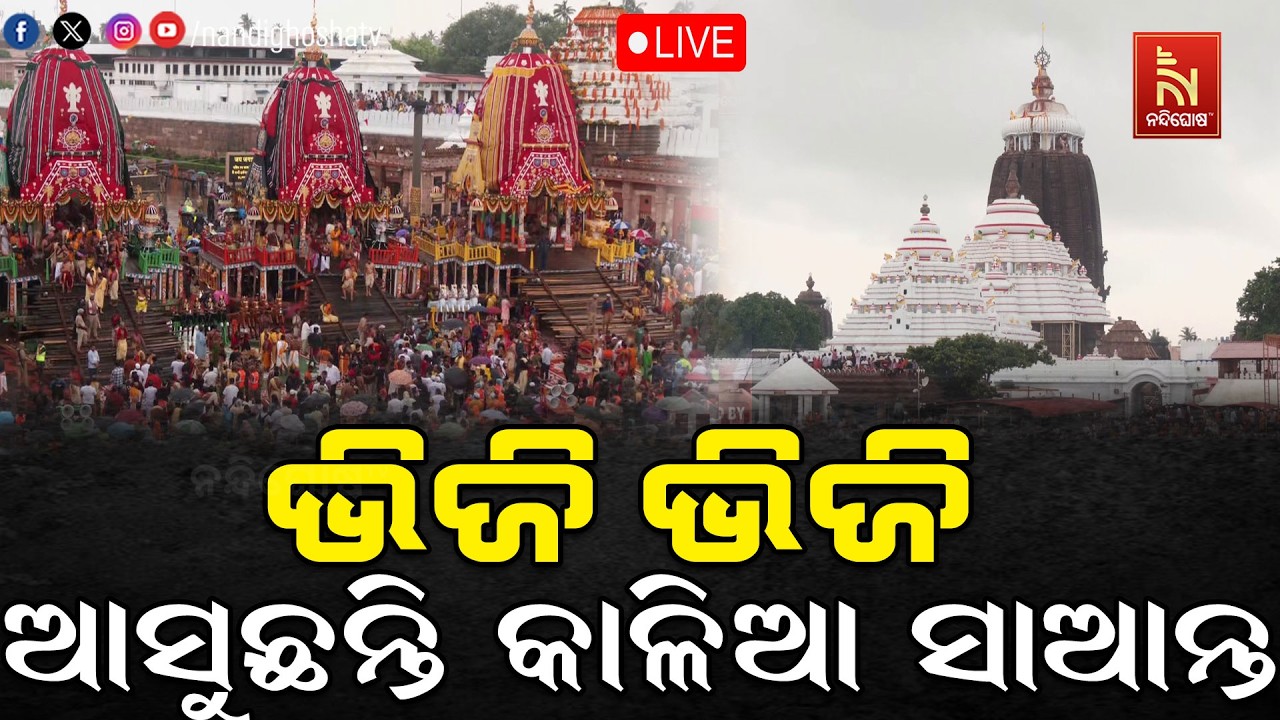 🔴LIVE | ଭିଜି ଭିଜି ଆସୁଛନ୍ତି କାଳିଆ ସାଆନ୍ତ | ରଥଯାତ୍ରା 2026 | Puri Jaga