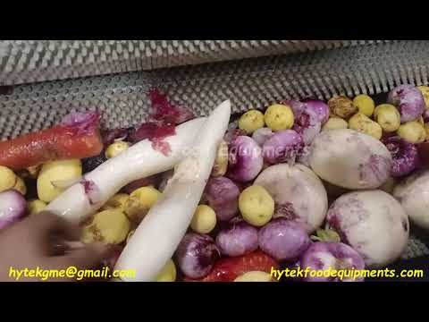 Fruits & Vegetable Washer