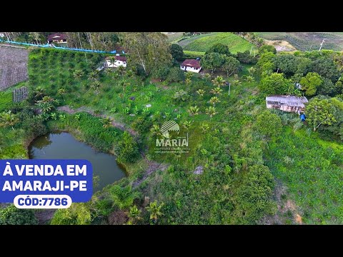 SÍTIO COM 7,5 HECTARES AS MARGENS DA BR EM AMARAJI-PE #sitio 