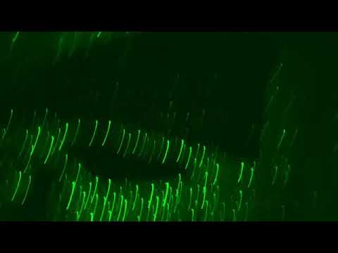 voodoo  gang stalking me