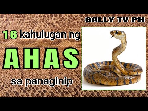16 kahulugan ng AHAS sa panaginip #ahassapanaginip #kahuluganngahassapanaginip