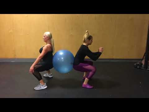 BEST Partner Stability Ball Exercises