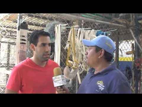 AFICIÓN HÍPICA TV DOMINGO 31 DE MAYO 2015