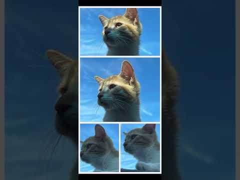 𝒜𝒶𝓉𝒽𝒾𝓇𝒶+𝒱𝒶𝒾𝑔𝒶