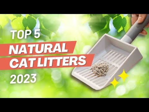 5 Best Natural Cat Litters (With Reviews!) 2023