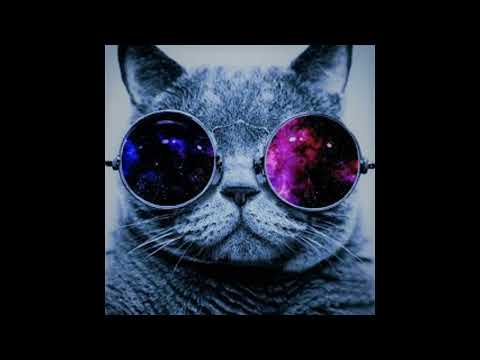 Metek Co2 Patetik Teknomad Fky Msp - Hardtek mix by Psylo