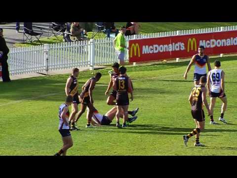 Glenelg's Terry Milera (10) & Timmy Sumner (35) kick 4 goals each v Adelaide, Rd 16, 2016