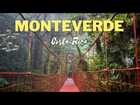Top 5 THINGS TO DO when visiting MONTEVERDE CLOUD FOREST, Costa Rica 4K travel vlog