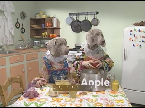 William Wegman - Alphabet Soup