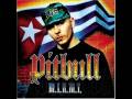 Pitbull Ft. T.O.K - She's Hotter (With Lyric)