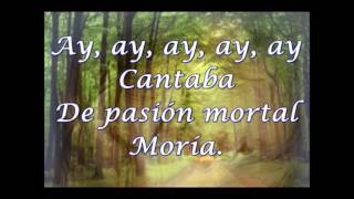 la hija del mariachi _ cucurrucucu paloma con letra