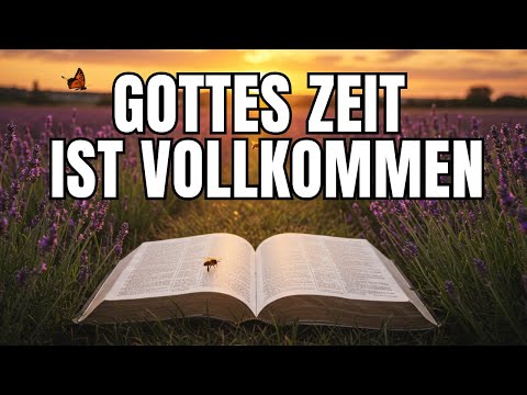 Vertraue dem Timing Gottes – es ist nie zu spät