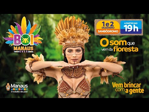 Boi Manaus 2023
