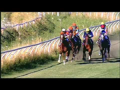 Galoppo 26/06/2020 - 3ª corsa