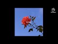 Serhat Durmus Hislerim Slowed Down