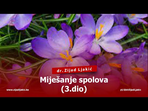 MIJEŠANJE SPOLOVA #3 - dr. Zijad Ljakić
