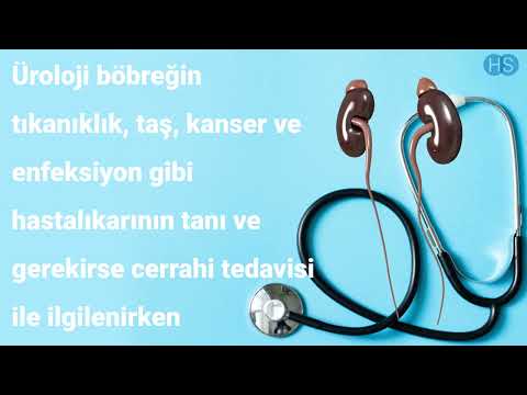 Böbrek hastalıklarına hangi bölüm/hangi doktor bakar?